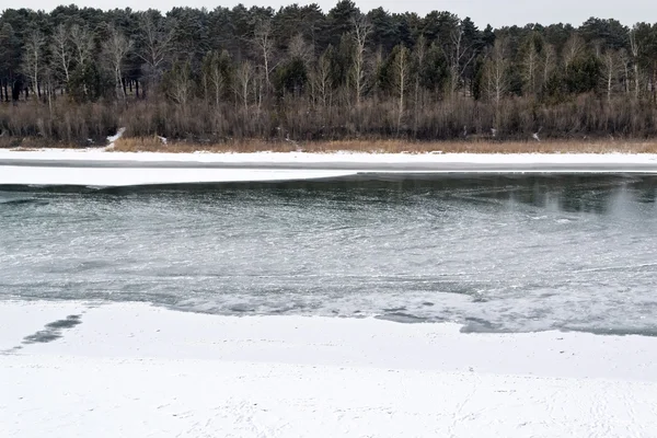 Πάγο στις όχθες του ποταμού σε ένα φόντο από τα ξύλα του χειμώνα — Φωτογραφία Αρχείου