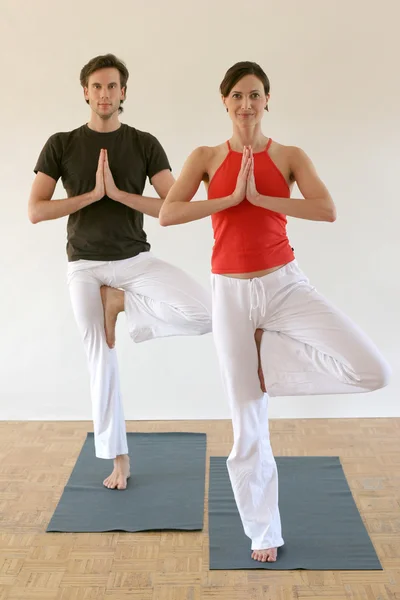 Paar praktiziert Yoga — Stockfoto