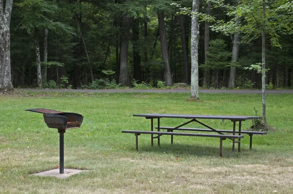 Picnic Table and Grill at State Park Campground