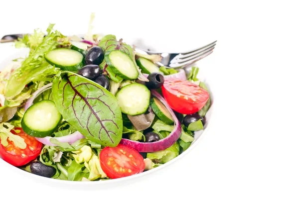 Fresh mesclun salad with tomato and onion — Stock Photo, Image