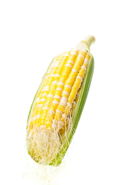 Young corn over white — Stock Photo, Image