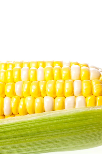 Young corn over white close up — Stock Photo, Image
