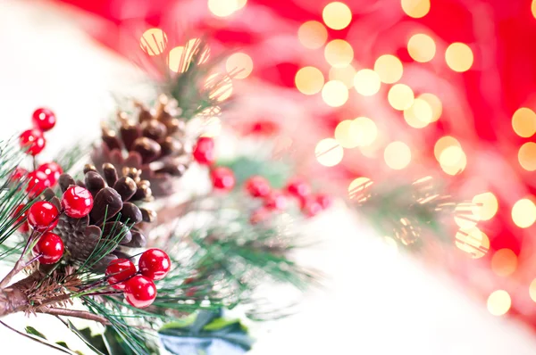 Vánoční větev zblízka — Stock fotografie