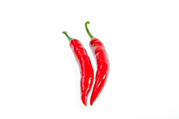 stock image Two fresh red chilies isolated on white background