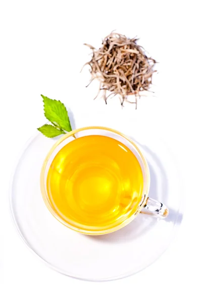 Siver tips tea top view over white — Stock Photo, Image
