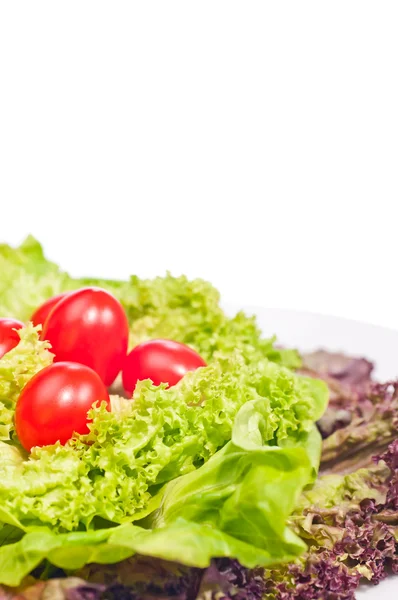 Fresh lettuce and tomato on plate — Stock Photo, Image