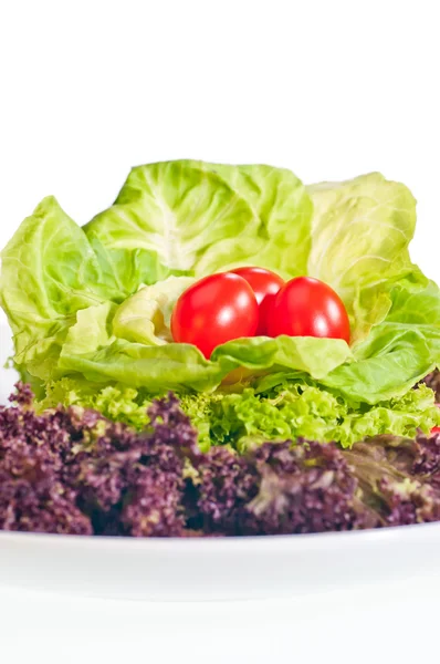 Fresh lettuce and tomato on plate — Stock Photo, Image