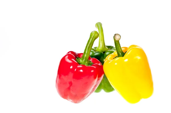 stock image Three colors of bell pepper