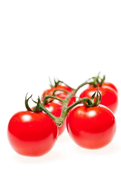 Primer plano de tomates cherry —  Fotos de Stock