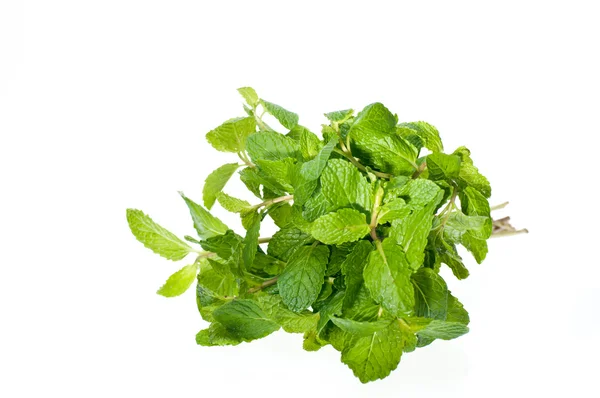 Bunch of fresh mint leaves — Stock Photo, Image