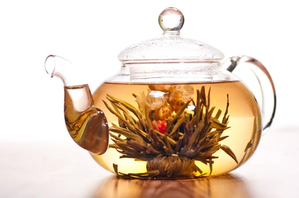 Kvetoucí zelený čaj v konvici skla — Stock fotografie