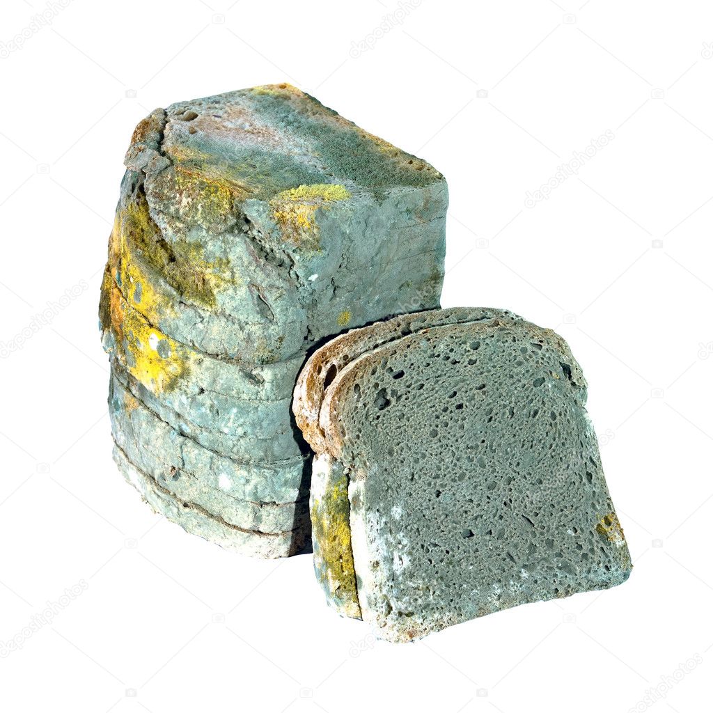 Old moldy sliced bread isolated on white background