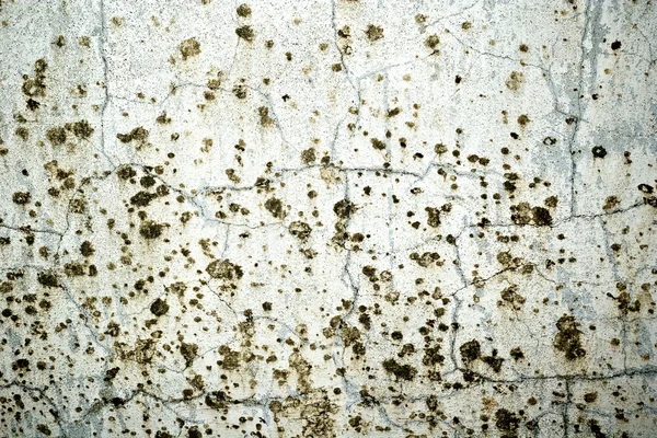 Natural old scratched and dotted wall texture background