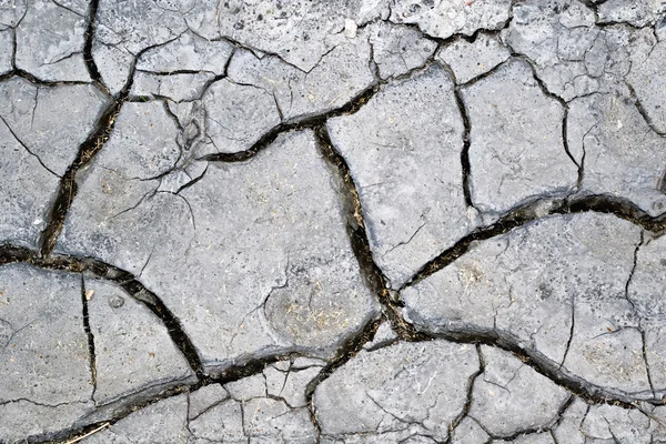 stock image Drought, natural old dry cracked ground texture background, desert, geology