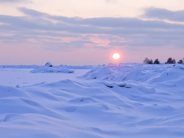 Sunset and snow on the coast of the Gulf of Finland. — Stock Photo, Image
