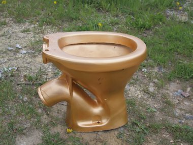 The golden toilet. clipart