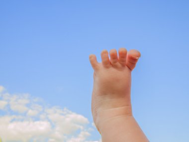 The foot of the baby. clipart