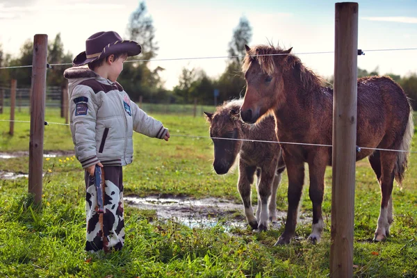 Little cowboy and pony — Stock Photo, Image