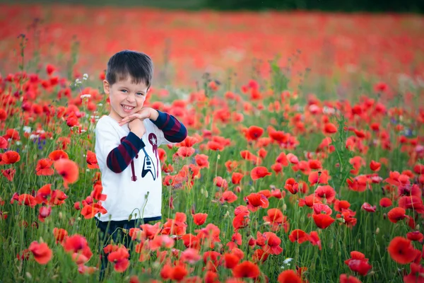 Cute boy in poppies — Stock Photo, Image