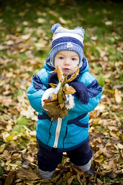 Stock image Autumn Boy