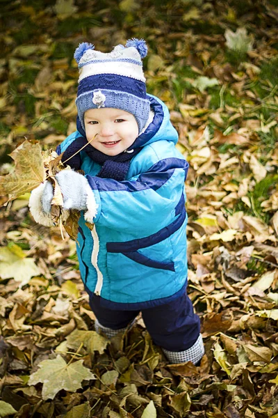 stock image Autumn Boy