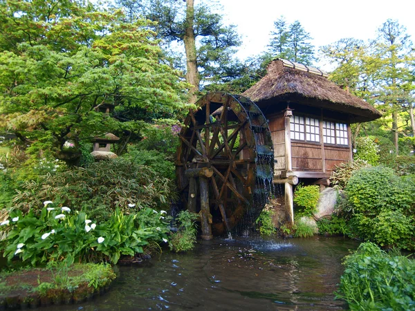 Ogród japoński — Zdjęcie stockowe
