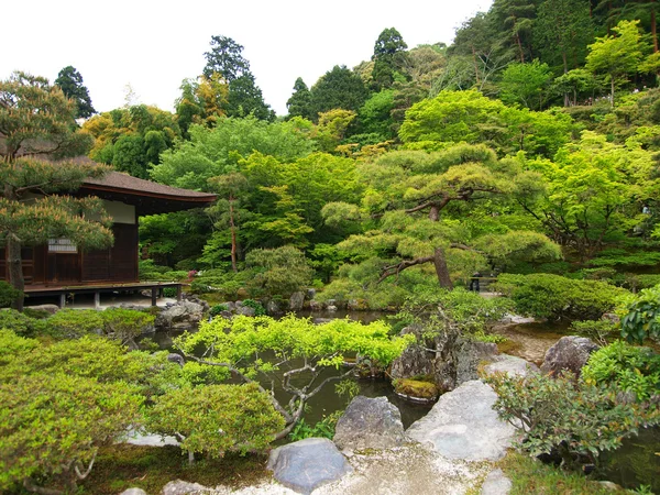 Japonská zahrada — Stock fotografie