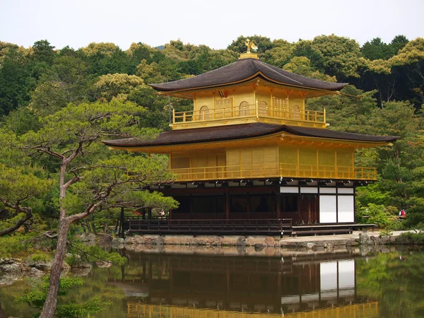 Tempio di Kinkakuji — Foto Stock