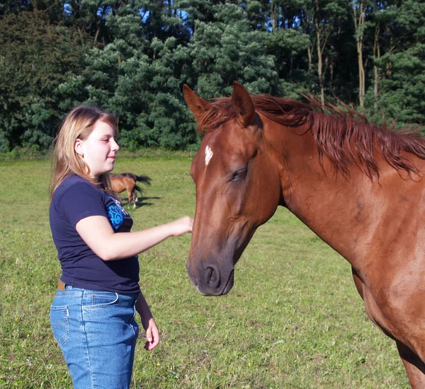 Dívka a kůň — Stock fotografie