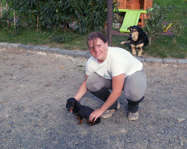 stock image Girl and two dogs