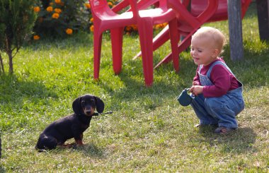 kız ve dachshund köpek