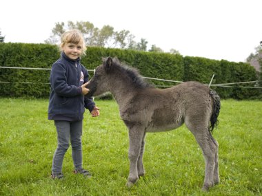 küçük kız pony tayı ile