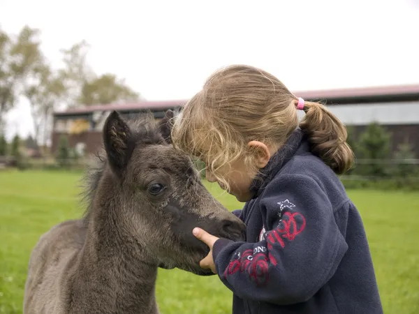 Girl and the foal — Stock Photo, Image