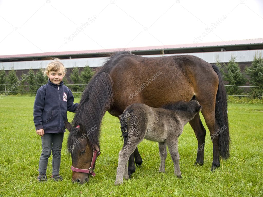 Girl with ponies on the pasture