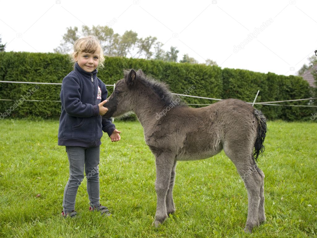 Little girl with pony foal