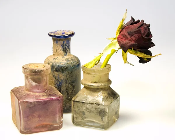 Botol kotor dengan mawar — Stok Foto