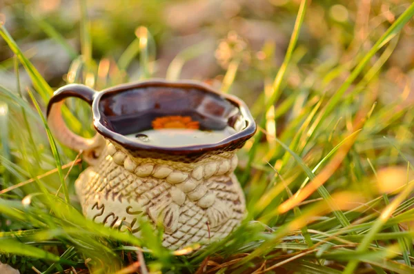 Гарячий трав'яний чай Стокове Фото