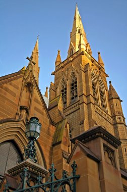 St. Marys Cathedral in Sydney clipart