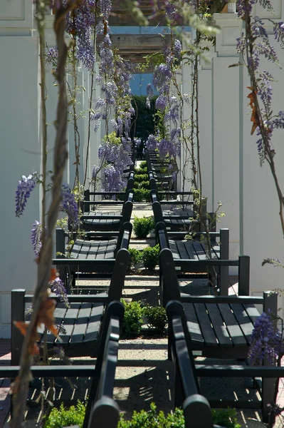 Stock image Benches in garden