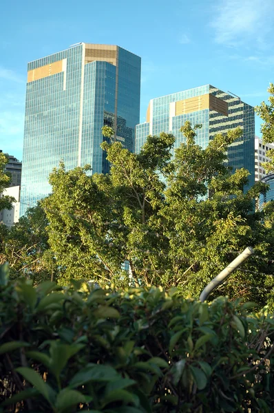 정글에 있는 고층 빌딩 — 스톡 사진