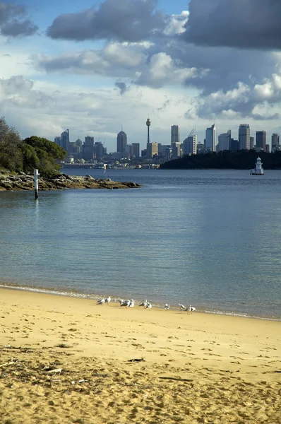 Sydney in distance — Stock Photo, Image