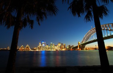 Sydney tropik panorama