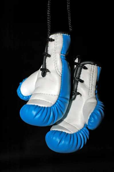 Small boxer gloves — Stock Photo, Image
