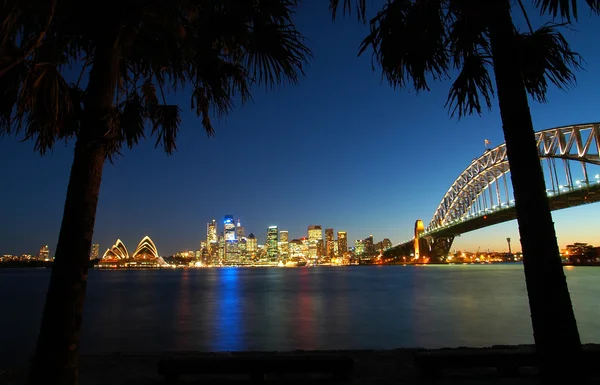 Sydney tropik panorama — Stok fotoğraf