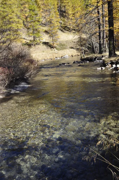 Fiume di montagna