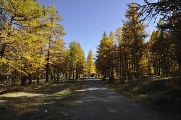 Autunno montagna