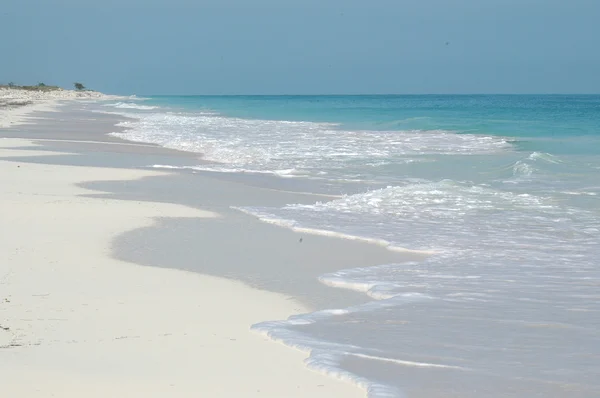 Spiaggia di Playa Blanca — Stock Photo, Image