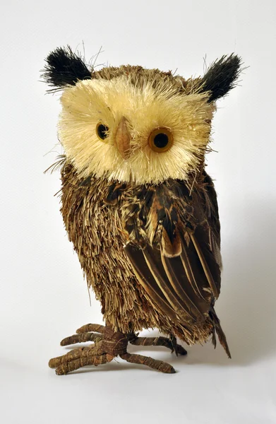 Gufo - Owl — Stock Photo, Image