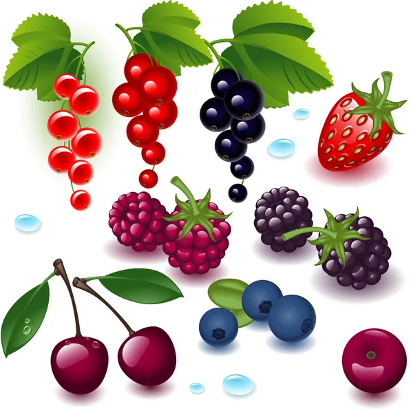 Set berries — Stock Vector