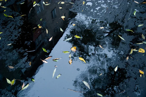 stock image Wet new asphalt